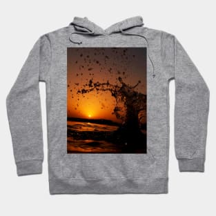 Beautiful Nature Hoodie